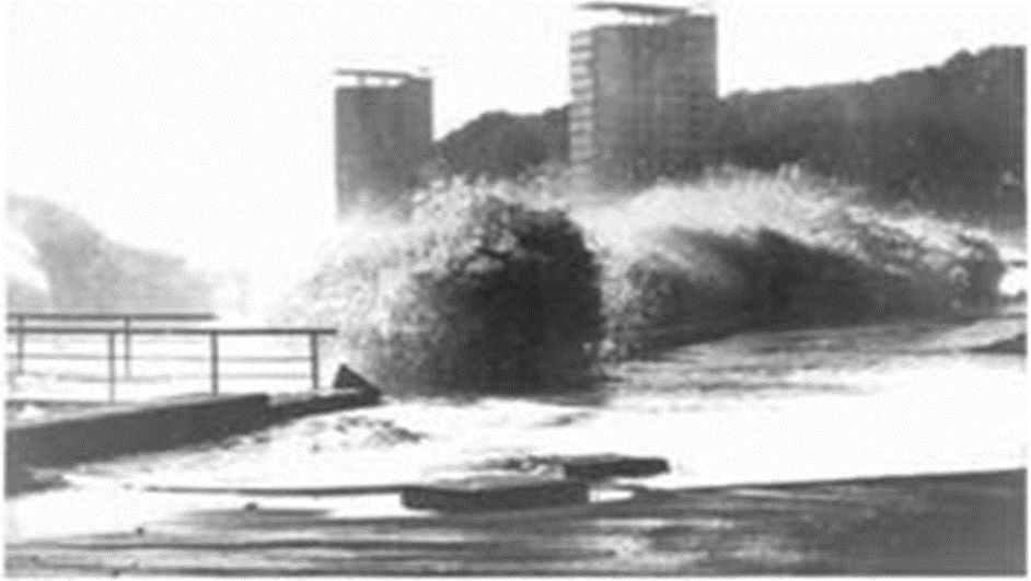 Рис. 20. Штормовые волны на мысе Пицунда в феврале 1969 года
