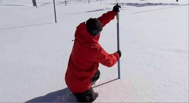 Рис.&nbsp;3. Исследование плотности слоев снежного покрова с помощью пенетрометра-твердомера&nbsp;[3]