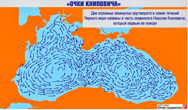 Рис. 4. Схема движения воды приповерхностного слоя в Чёрном море [11, 41, 42]