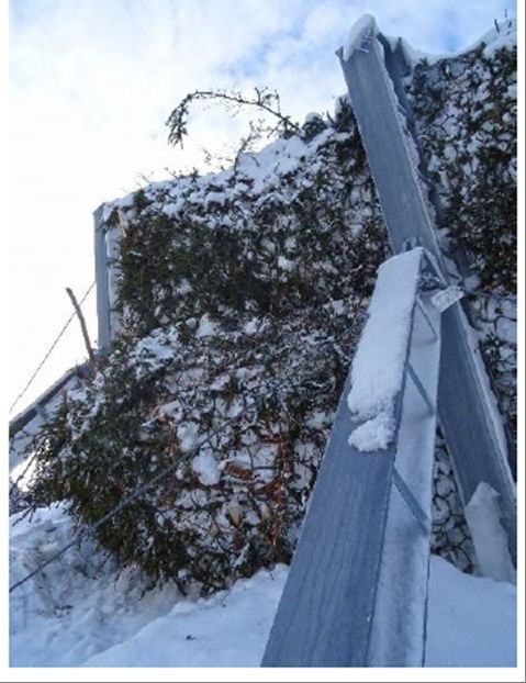 Рис. 6. Ветки со снегом, задержанные сеткой барьера при сходе лавины 14.01.2019&nbsp;[4]